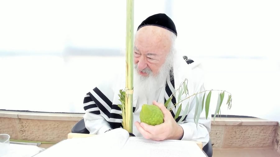 הרב יעקב דוד סטפנסקי בשיעור על מסכת חולין