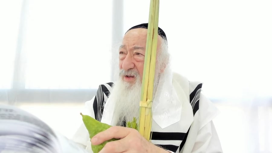 הרב יעקב דוד סטפנסקי בשיעור על מסכת מנחות