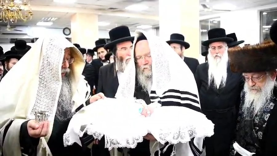 שמחת הברית בחצרות שבט הלוי - נדבורנה חיפה