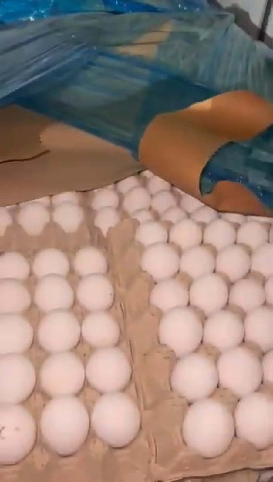 תיעוד מהתפיסה