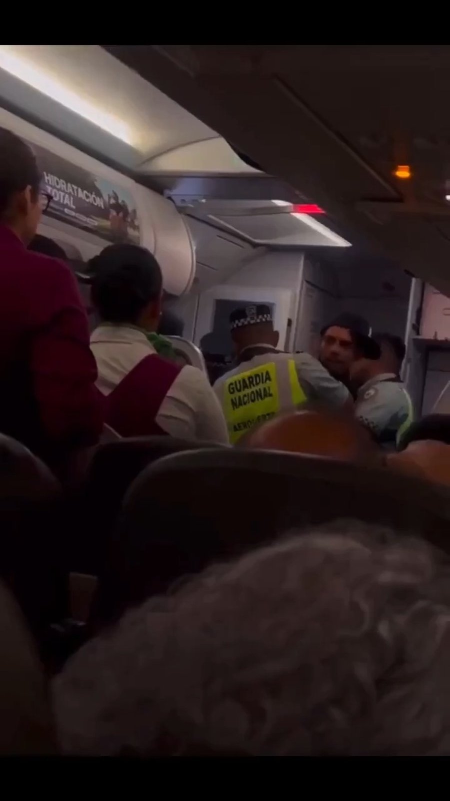 המעצר על המטוס