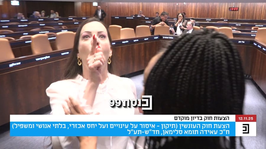 המהומה במליאה