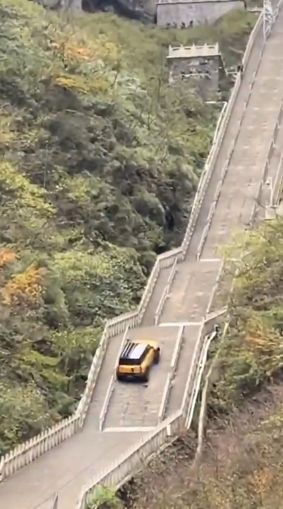 הכרב מנסה לטפס