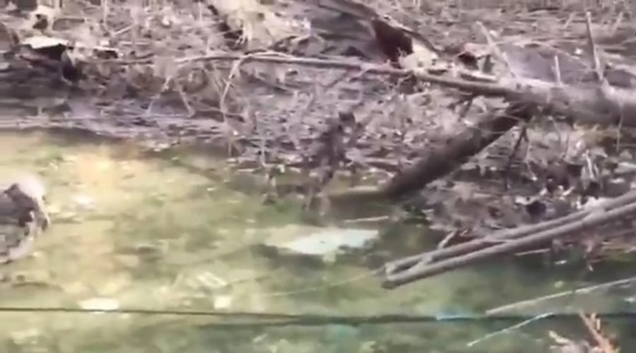  זירת תקיפה ישראלית בדרום לבנון