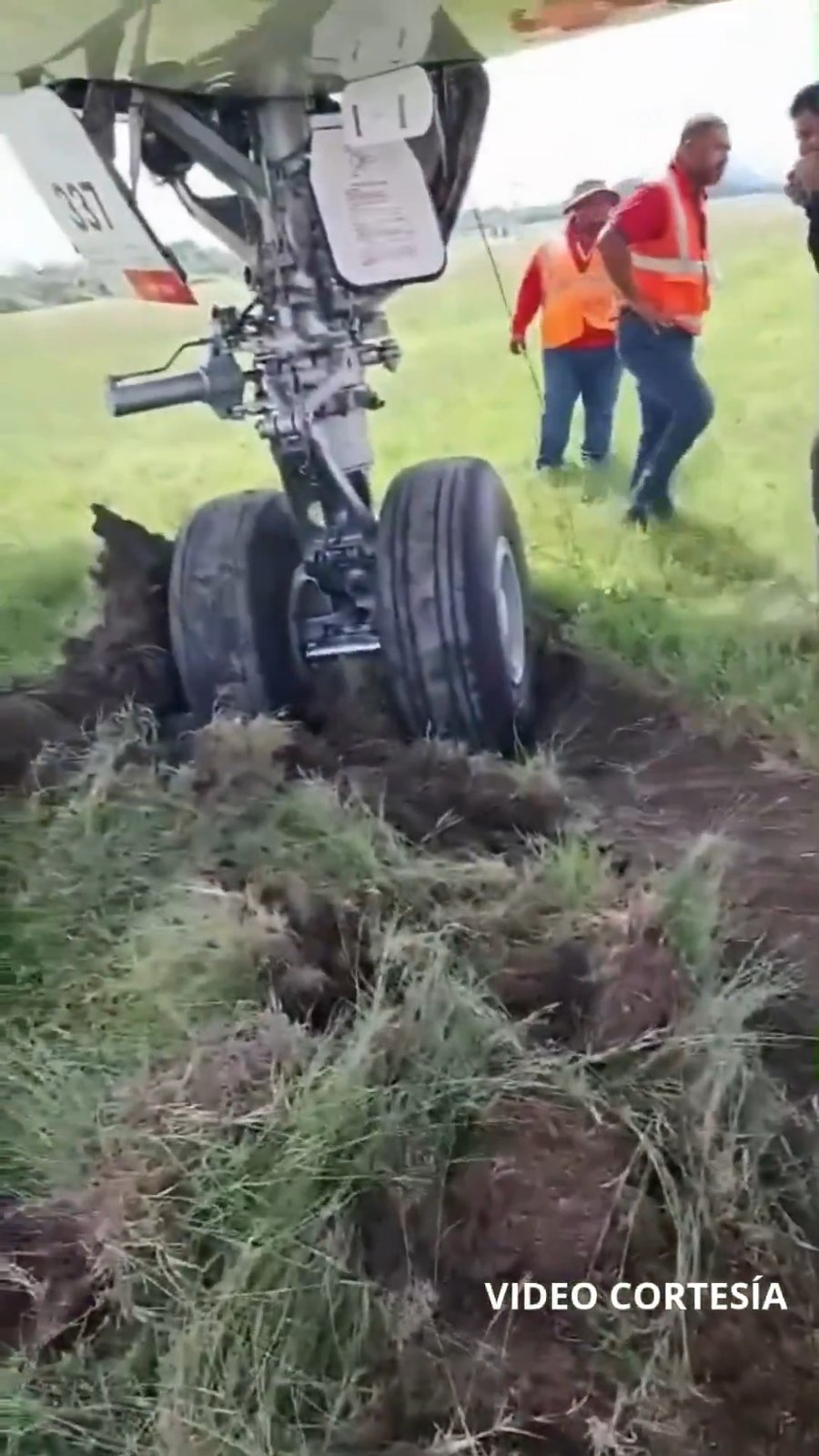 המטוס סטה אל הדשא