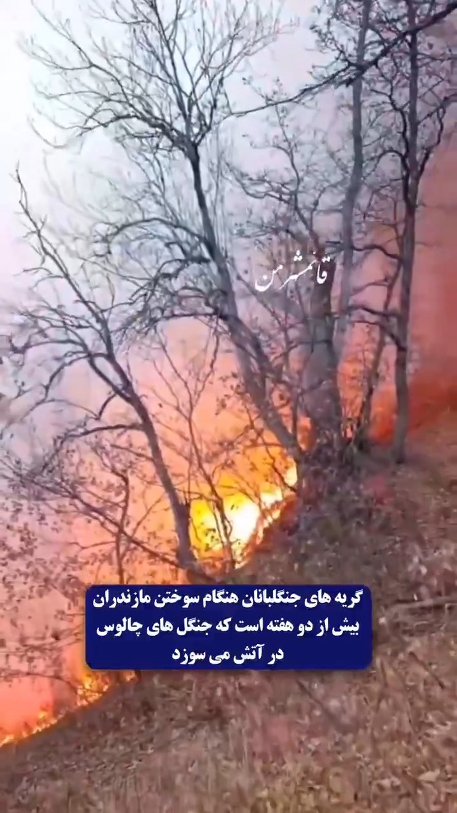 שריפת ענק באיראן