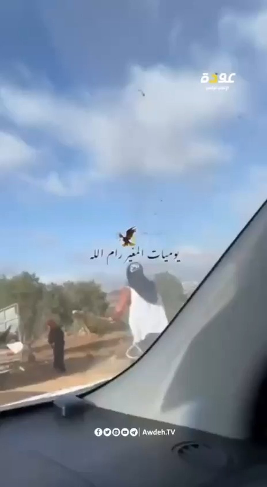 הסרטון שהתפרסם