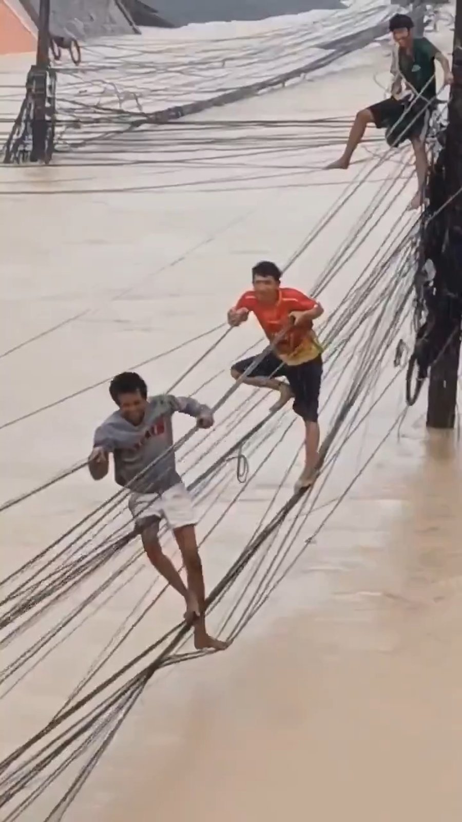 נאחזים בחוטי חשמל - השיטפונות בתאילנד