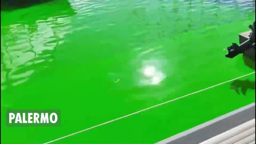 מחאת הארגון