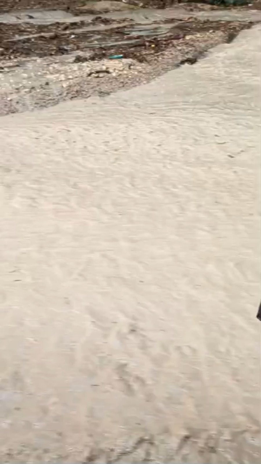 ההצפות בנחל נובע