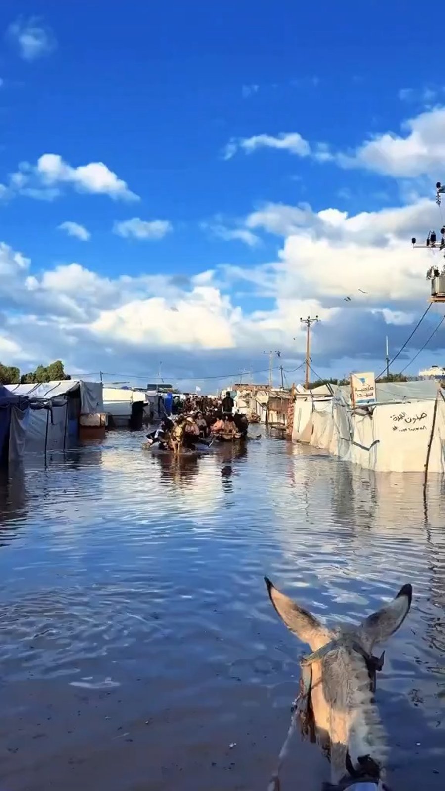 ההצפות ברצועה