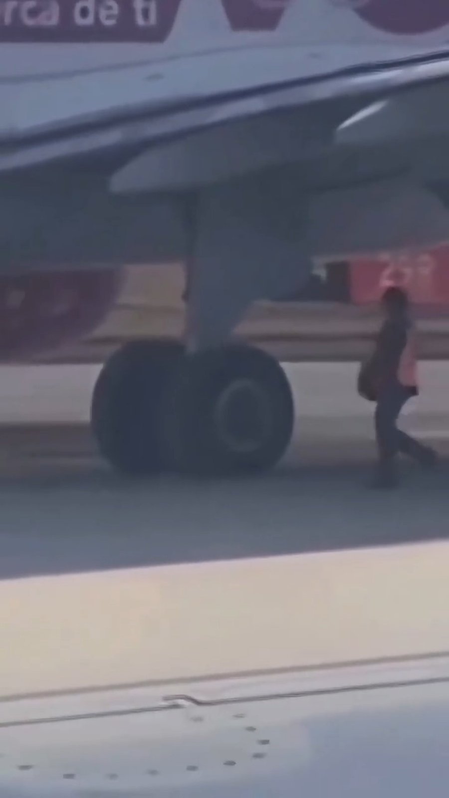 הנוסע הסמוי מטפס אל כן הגלגלים