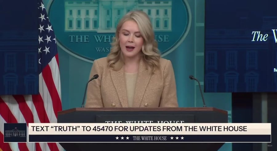 הדוברת במתקפה