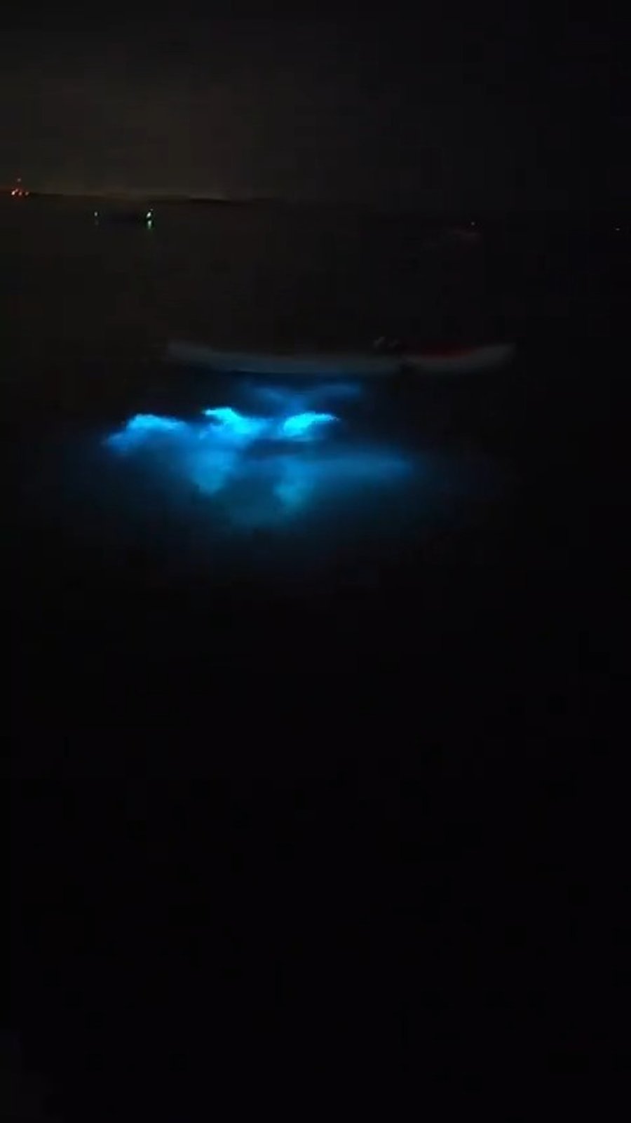 אדם שוחה ברצועת החוף במלדיביים