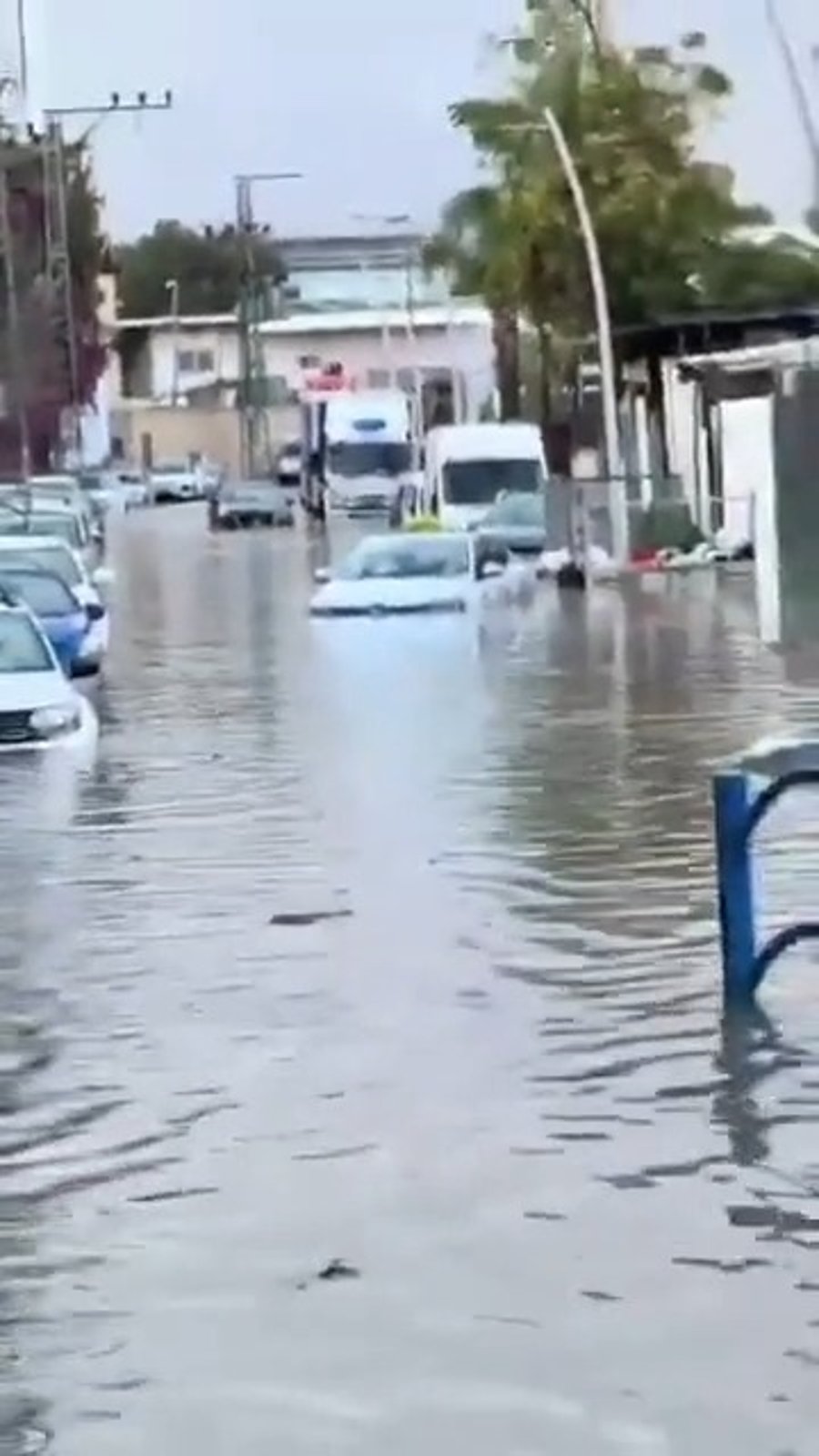"יש מונית באזור?"