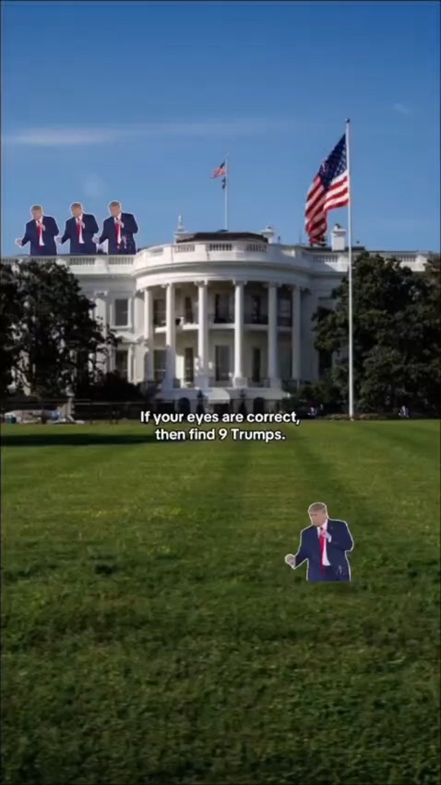 "חפש 9 טראמפ בתמונה"