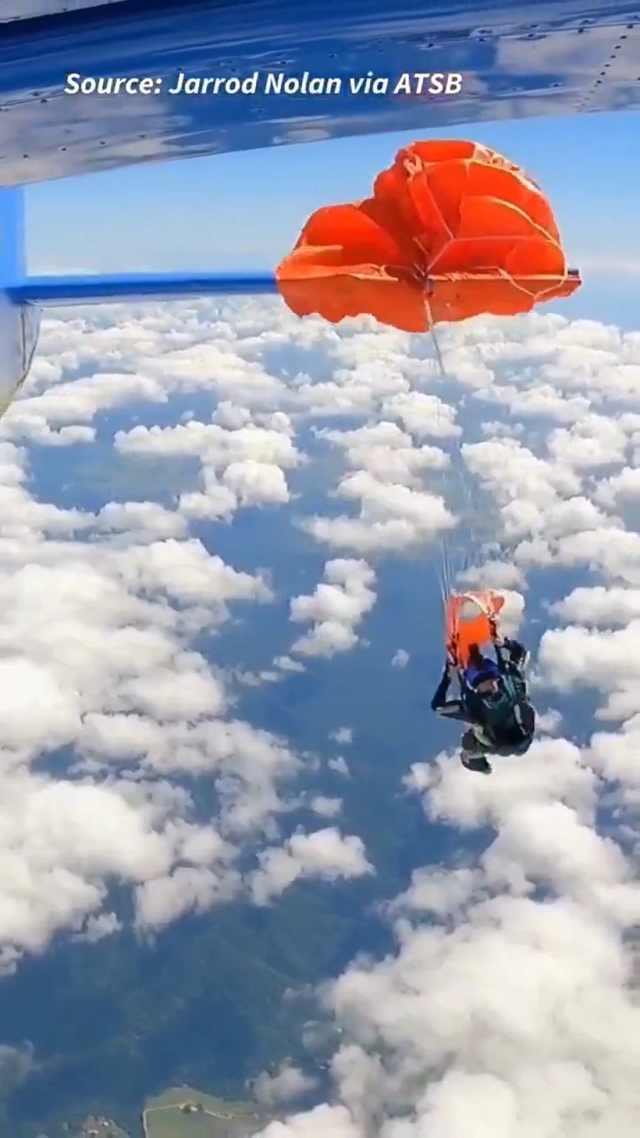 הצנחן תוי על זנב המטוס