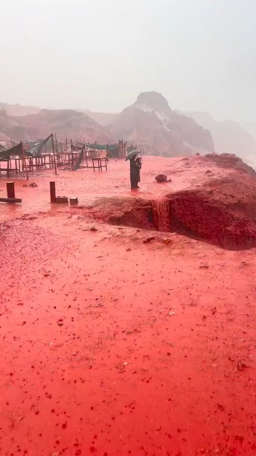 אי הורמוז ביאראן