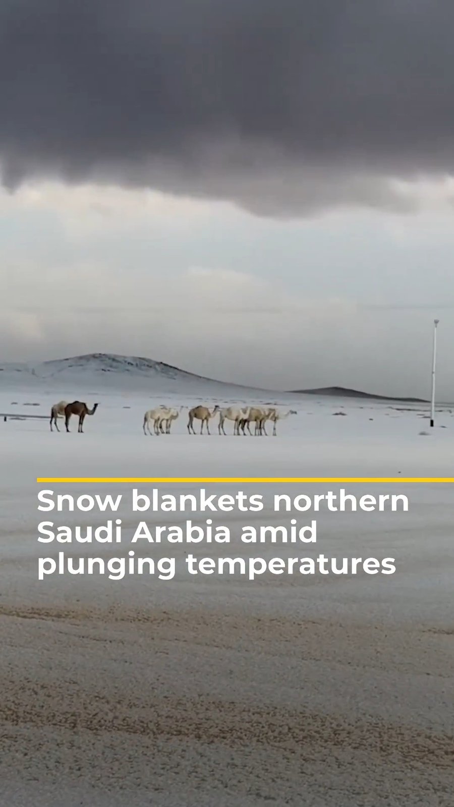 שלג בערב הסעודית