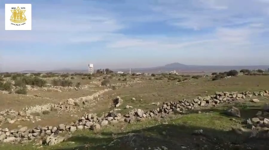 הנערים בסוריה