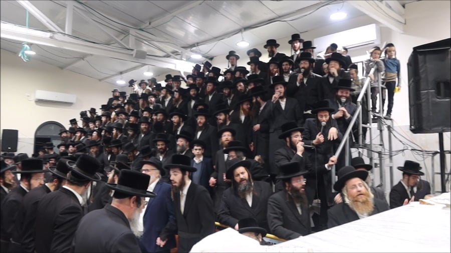 זאת חנוכה בחצה"ק זוויעהיל