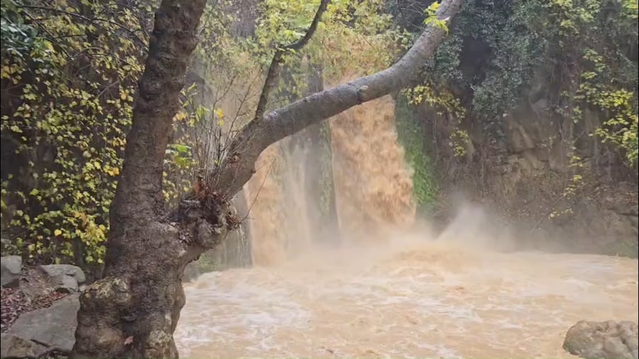 הזרימה במפל הבניאס בשעה 11:00 בבוקר