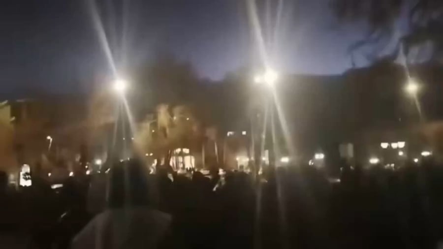 "יחי השאה!" קראו מפגינים בהתלהבות