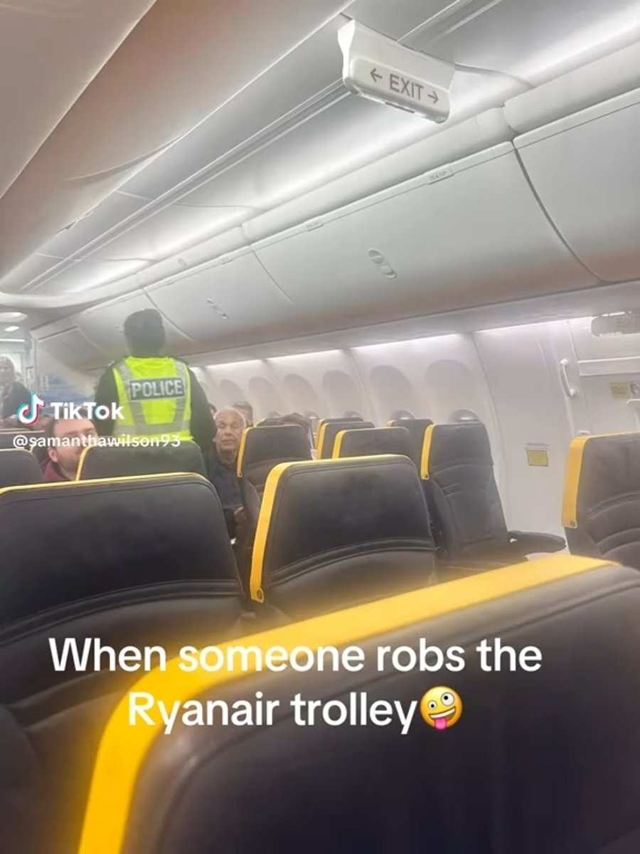 הכוח המשטרתי על המטוס