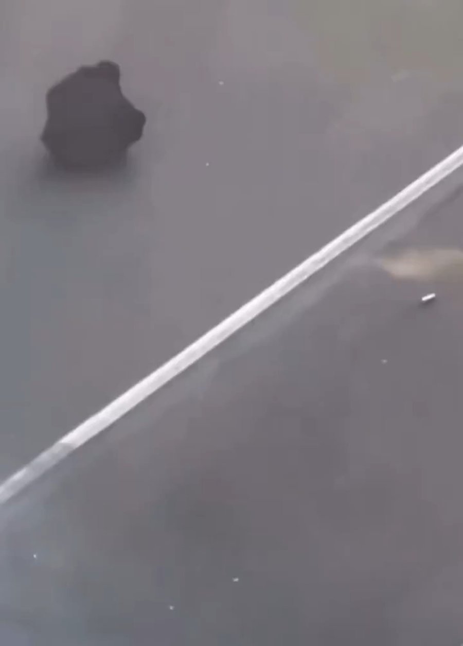 "איש הטנק" מול כוחות המשטר