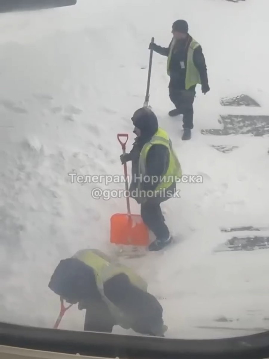 עובדי הנמל עם האתים