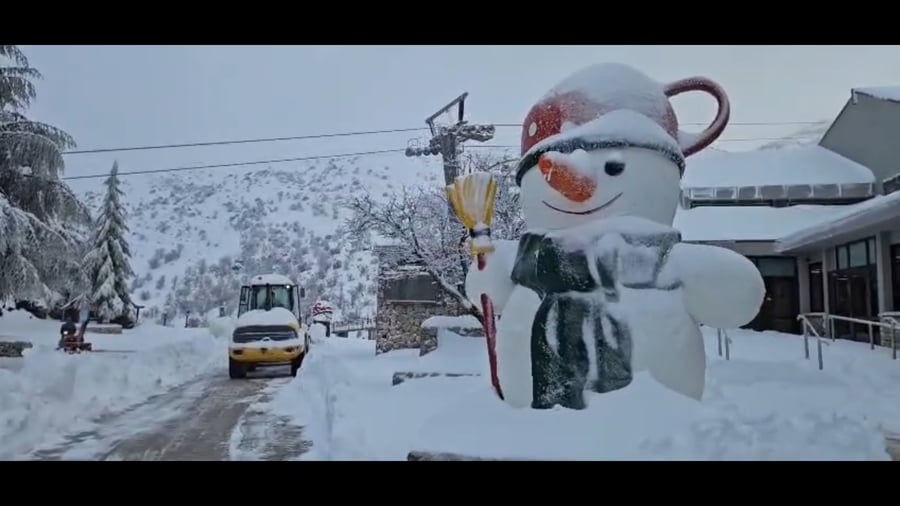 החרמון, הבוקר