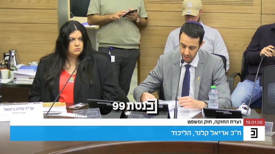 חה"כ קלנר בוועדה