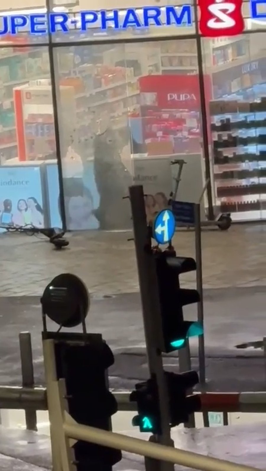 מתיעוד השוד