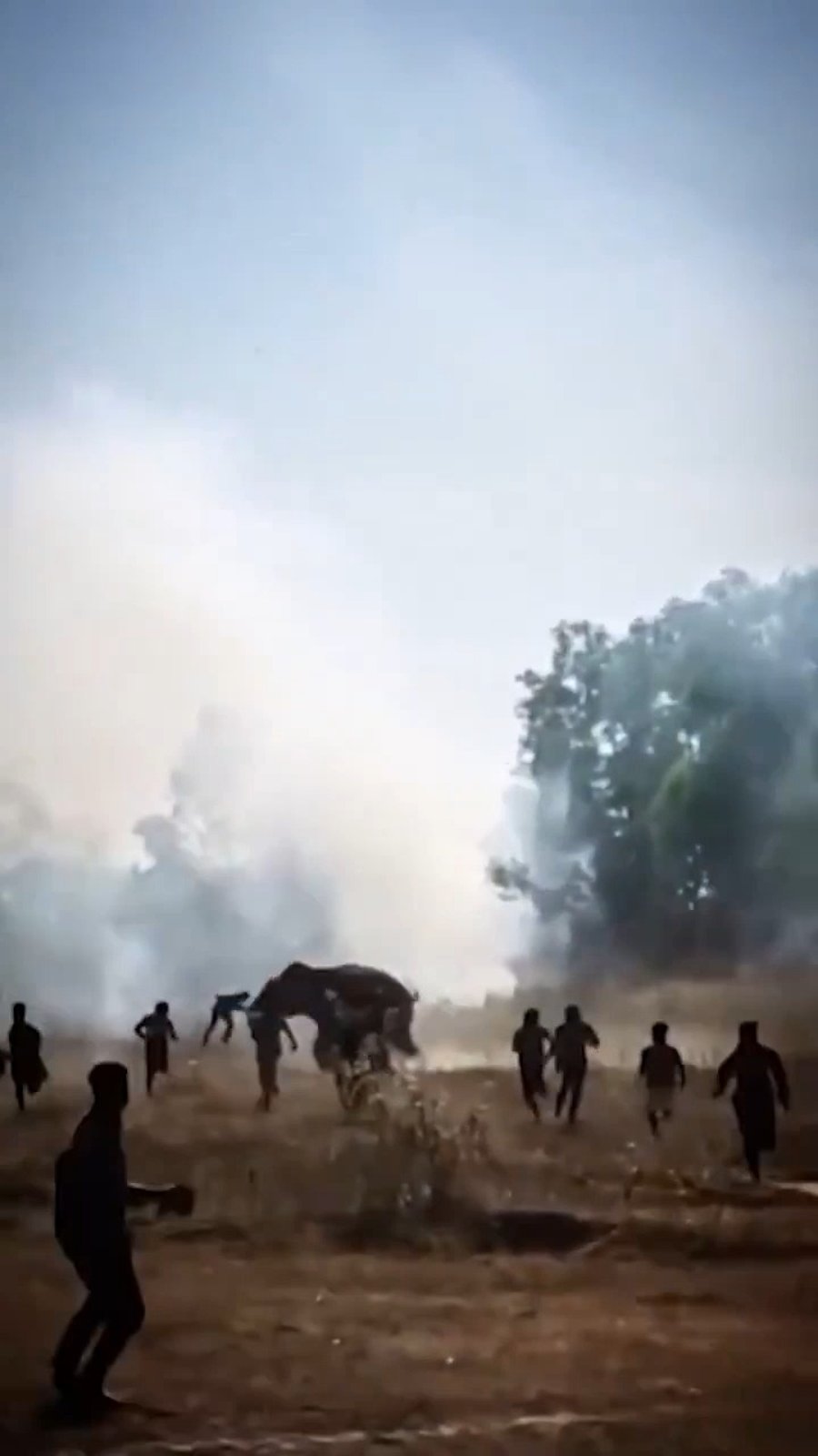 הפיל רודף אחרי אזרחים בהודו