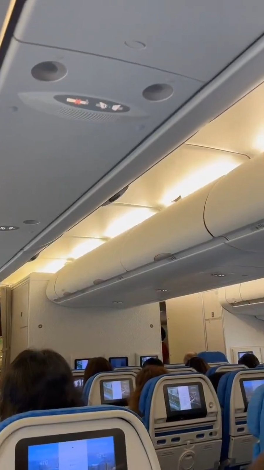 הציפור מעופפת במטוס