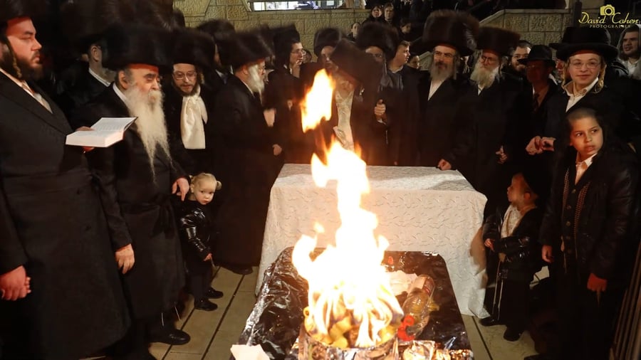 האדמו"ר מטעמשוואר במירון