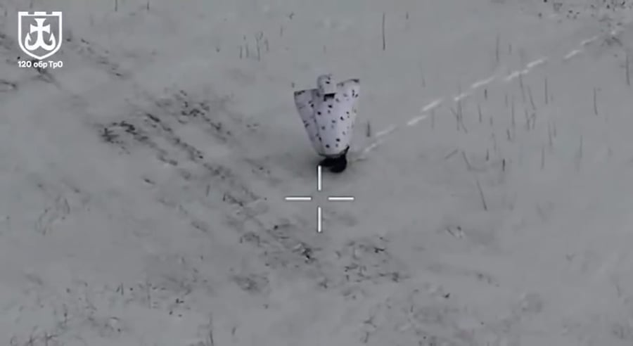 הפינגווין הרוסי מחוסל 