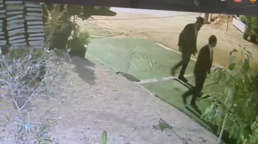 הבוזזים, כפי שתועדו במצלמות האבטחה