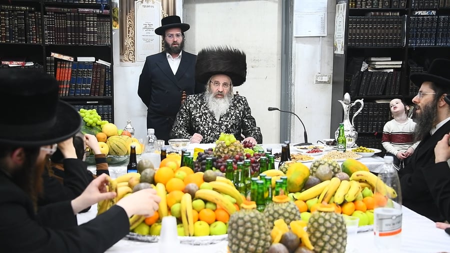 האדמו"ר מזוטשקא אמסנא בטיש ט"ו בשבט