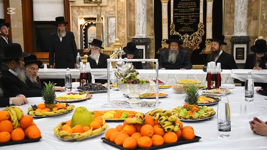 האדמו"ר משבט הלוי בטיש ט"ו בשבט