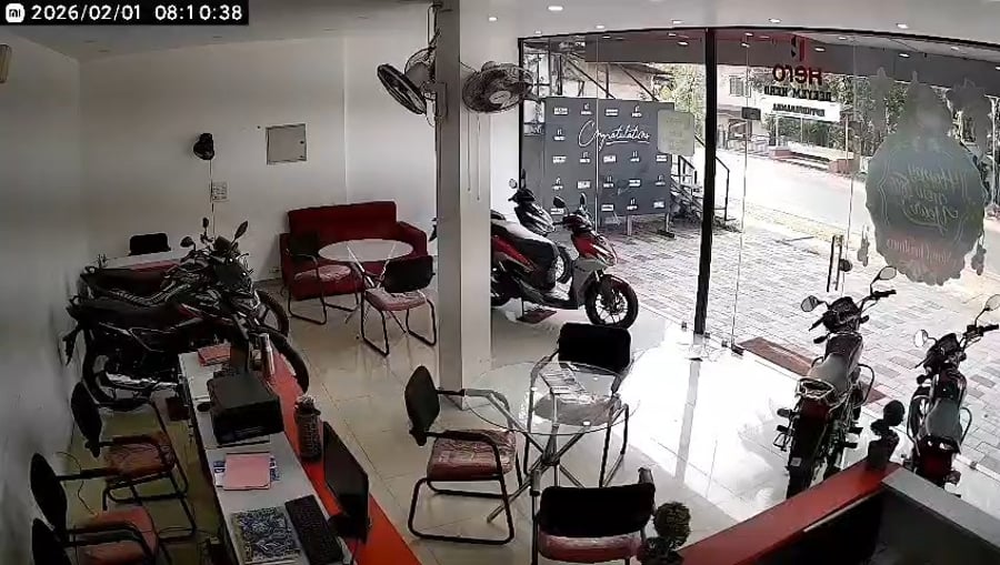 רגעי הפריצה של התאו אל אולם התצוגה