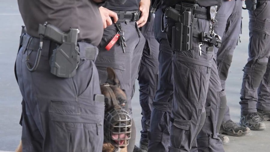 הפשיטה המשטרתית