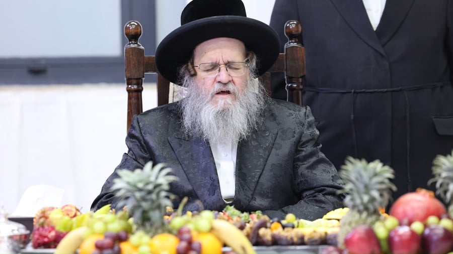 האדמו"ר מדינוב בטיש ט"ו בשבט