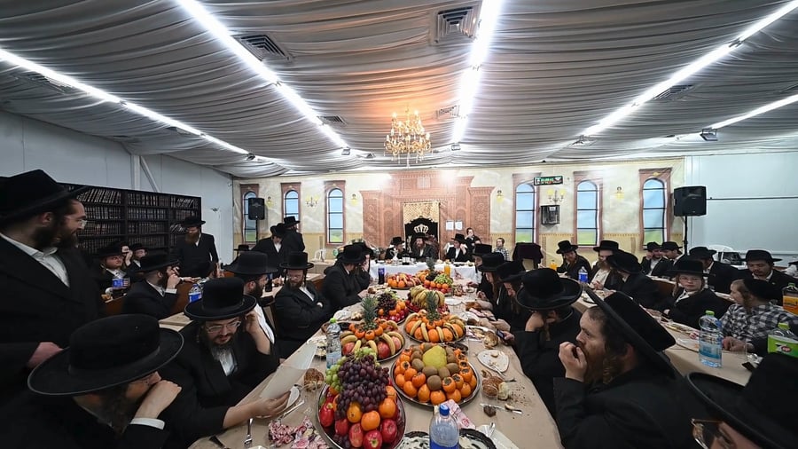 ט"ו בשבט בחצה"ק ספינקא בית שמש