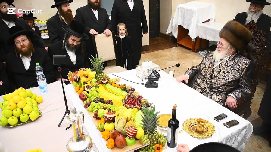 האדמו"ר מספינקא בטיש ט"ו בשבט