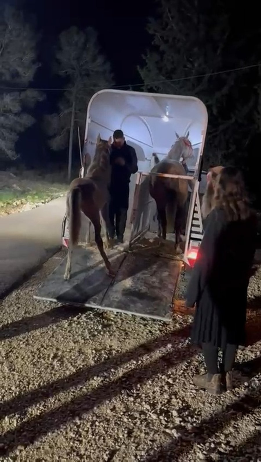 החזרת בעלי החיים לחווה