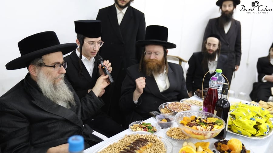 גאב"ד קאלסבורג בטיש ט"ו בשבט בצפת