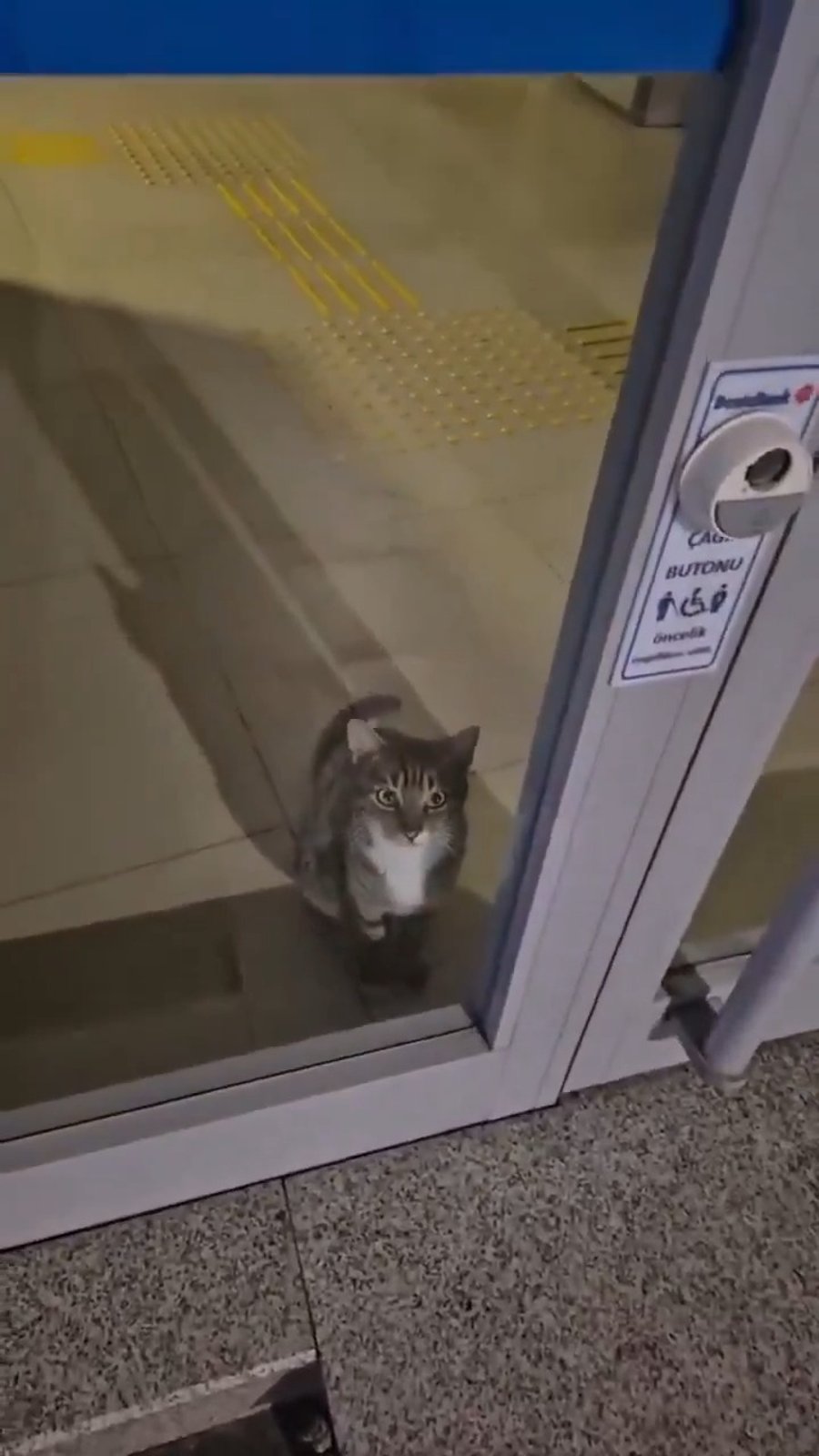 השוד בטורקיה