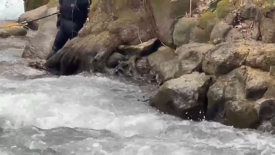 תיעוד החילוץ