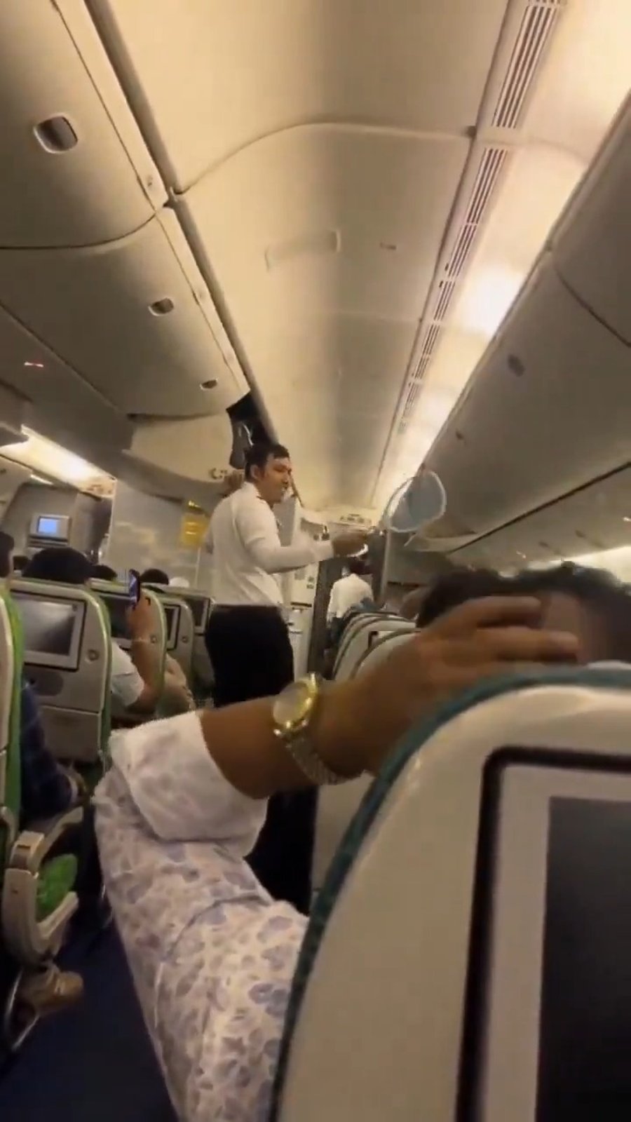 הדייל עם המחבט החשמלי